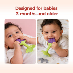 BunchBite™ Grape Teether - littlefishbaby